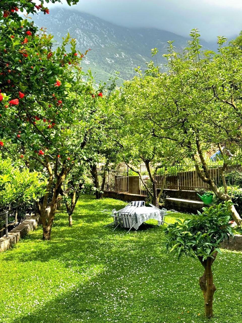 Apartments Andrija Kotor Zewnętrze zdjęcie